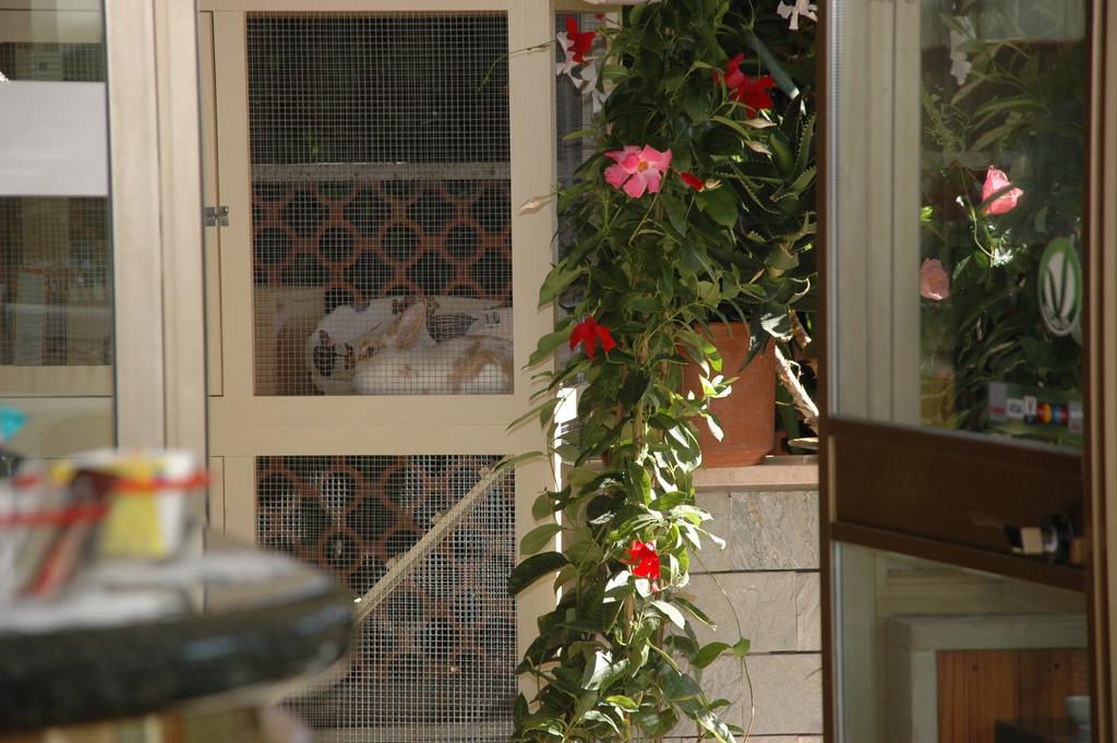 Hotel Ristorante La Terrazza Lido di Camaiore Exteriér fotografie